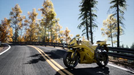 sportbike-on-tre-road-in-forest-with-sun-beams